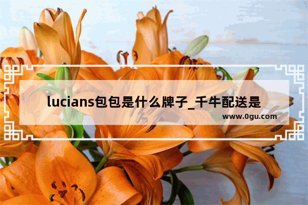 lucians包包是什么牌子_千牛配送是皮包公司吗