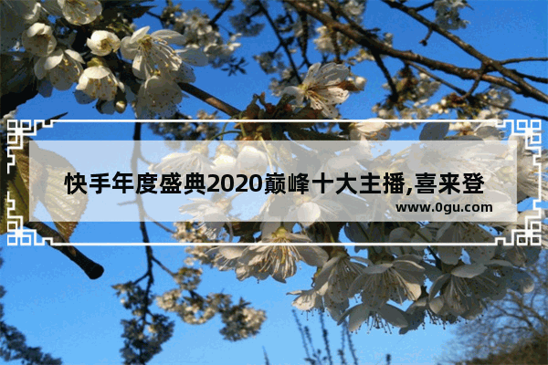 快手年度盛典2020巅峰十大主播,喜来登酒店加盟价格