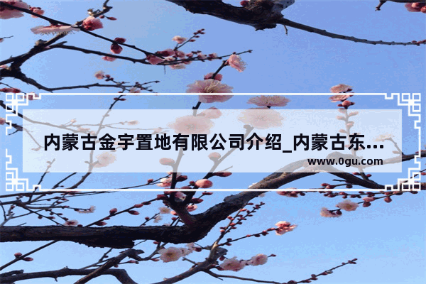 内蒙古金宇置地有限公司介绍_内蒙古东源投资集团有限公司官网