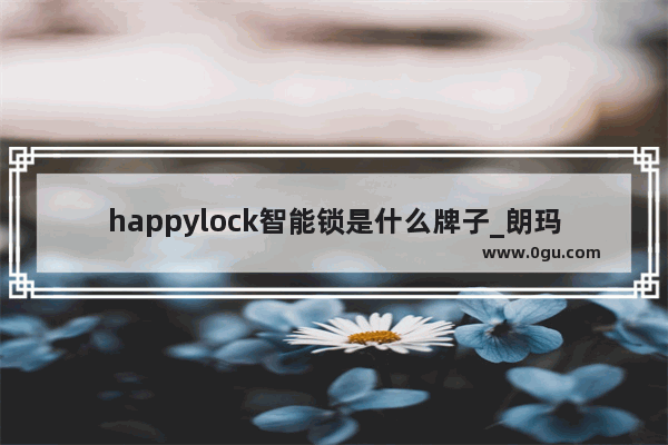 happylock智能锁是什么牌子_朗玛锁算几线品牌