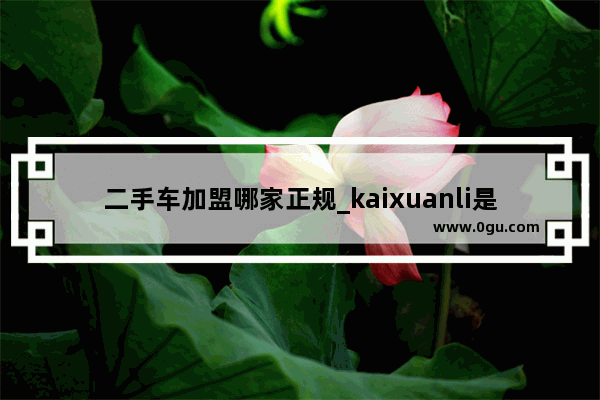 二手车加盟哪家正规_kaixuanli是什么牌子