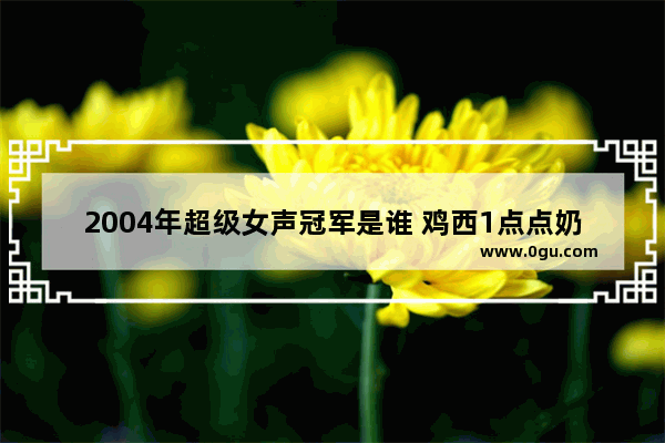 2004年超级女声冠军是谁 鸡西1点点奶茶加盟