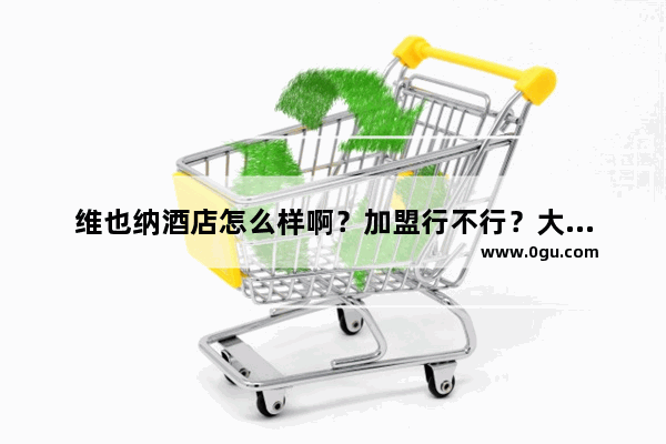 维也纳酒店怎么样啊？加盟行不行？大家给点建议~,国外可以加盟的酒店