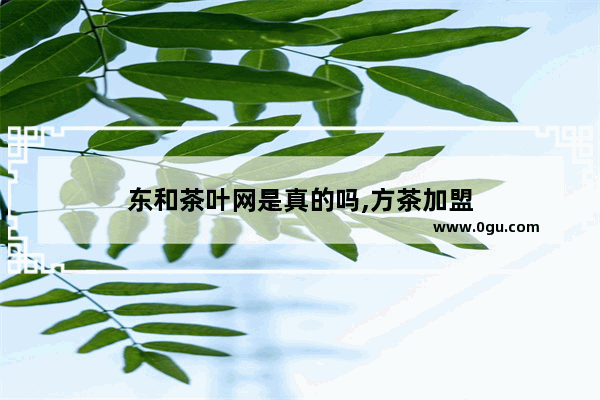 东和茶叶网是真的吗,方茶加盟