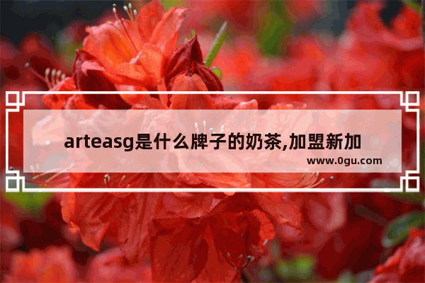 arteasg是什么牌子的奶茶,加盟新加坡奶茶大概多少钱