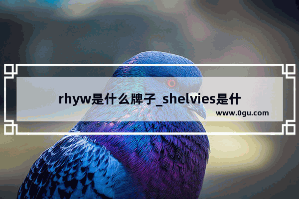 rhyw是什么牌子_shelvies是什么牌子