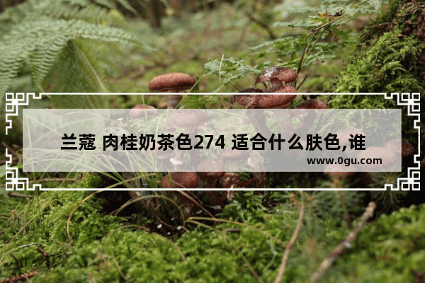 兰蔻 肉桂奶茶色274 适合什么肤色,谁家有肉桂奶茶加盟