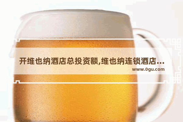 开维也纳酒店总投资额,维也纳连锁酒店加盟多少钱