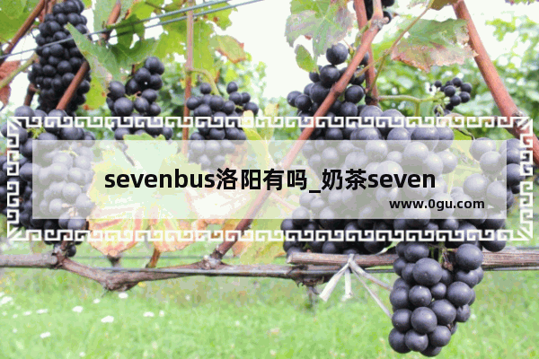 sevenbus洛阳有吗_奶茶sevenbus加盟