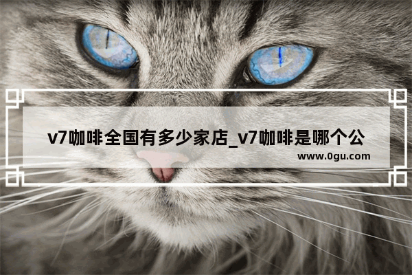 v7咖啡全国有多少家店_v7咖啡是哪个公司的