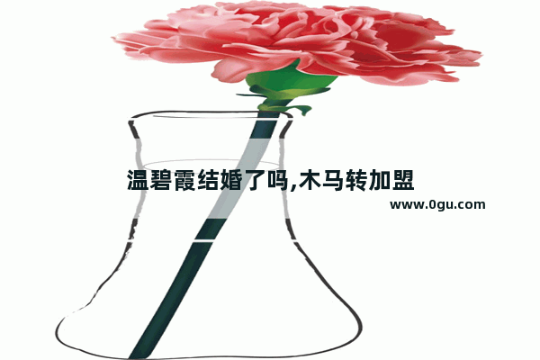 温碧霞结婚了吗,木马转加盟