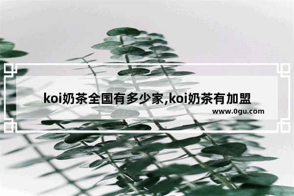 koi奶茶全国有多少家,koi奶茶有加盟吗