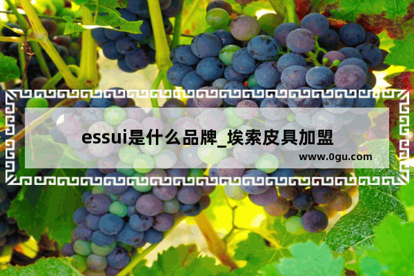 essui是什么品牌_埃索皮具加盟