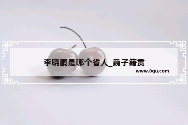 李晓鹏是哪个省人_巍子籍贯