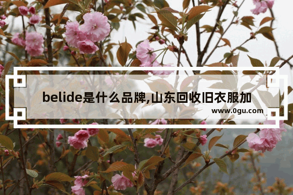 belide是什么品牌,山东回收旧衣服加盟品牌