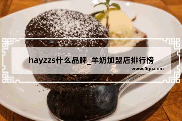 hayzzs什么品牌_羊奶加盟店排行榜