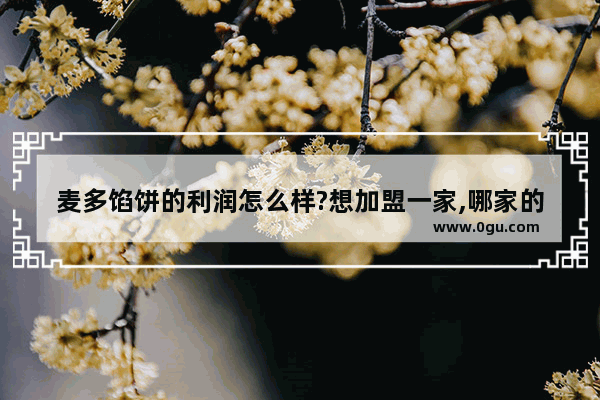 麦多馅饼的利润怎么样?想加盟一家,哪家的正宗?有了解的朋友给指点一下!谢谢 长春加盟馅饼品牌