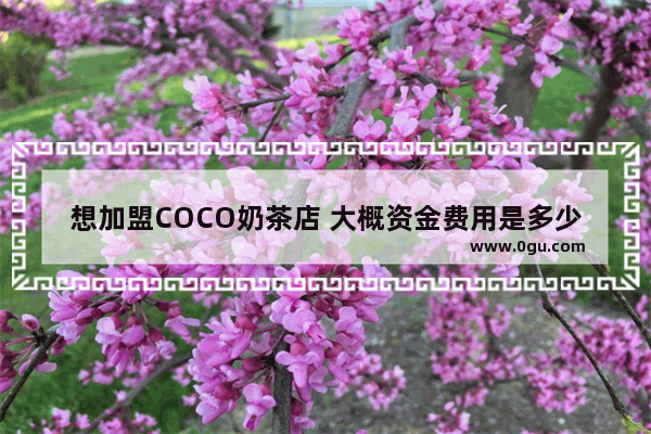 想加盟COCO奶茶店 大概资金费用是多少,加盟店奶茶 coco