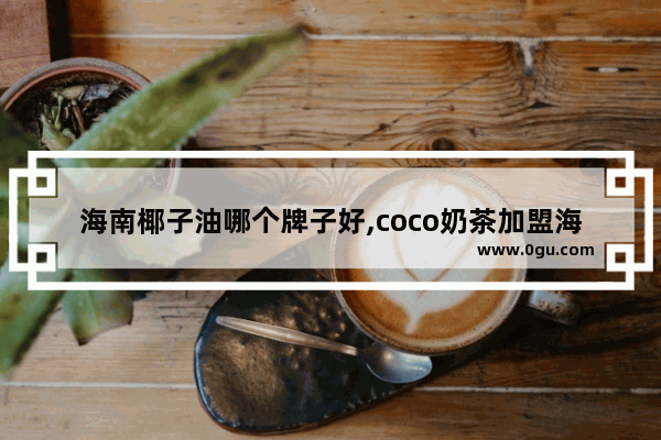 海南椰子油哪个牌子好,coco奶茶加盟海口