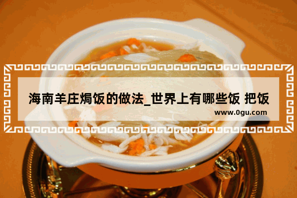 海南羊庄焗饭的做法_世界上有哪些饭 把饭名都报出来