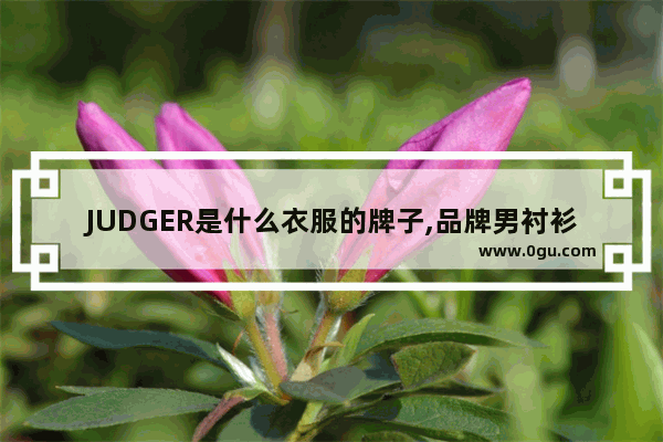 JUDGER是什么衣服的牌子,品牌男衬衫短袖加盟