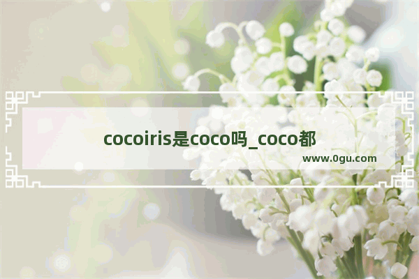 cocoiris是coco吗_coco都可和cocoiris区别