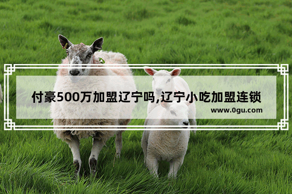 付豪500万加盟辽宁吗,辽宁小吃加盟连锁费用排行