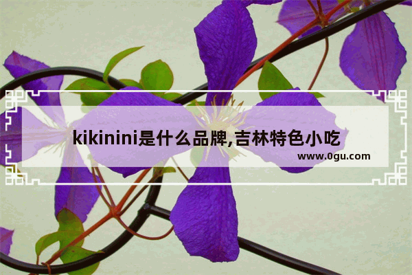 kikinini是什么品牌,吉林特色小吃加盟连锁店