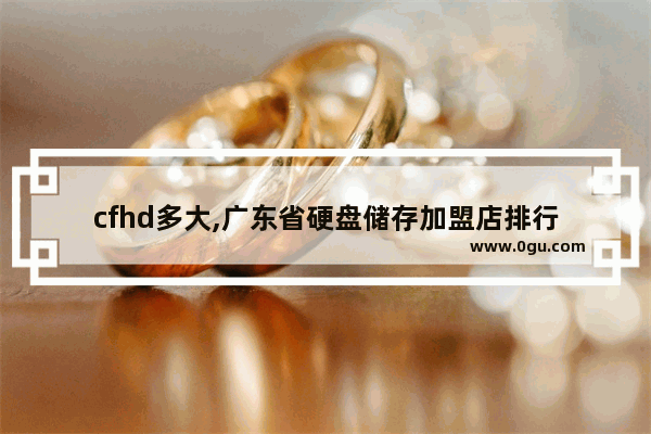 cfhd多大,广东省硬盘储存加盟店排行