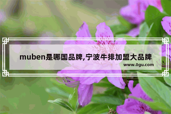 muben是哪国品牌,宁波牛排加盟大品牌有哪些