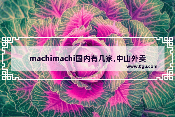 machimachi国内有几家,中山外卖奶茶加盟店排行榜