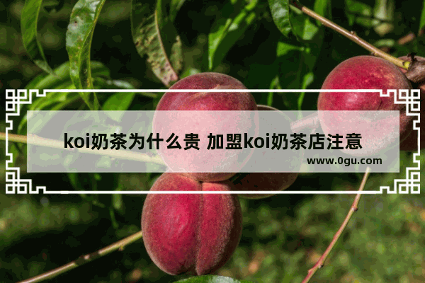 koi奶茶为什么贵 加盟koi奶茶店注意事项