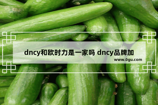 dncy和欧时力是一家吗 dncy品牌加盟费