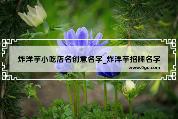 炸洋芋小吃店名创意名字_炸洋芋招牌名字