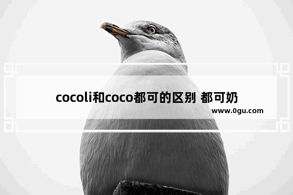 cocoli和coco都可的区别 都可奶茶如何加盟