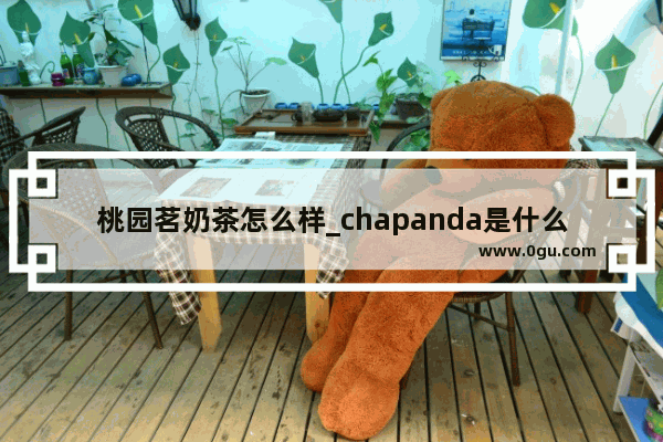 桃园茗奶茶怎么样_chapanda是什么奶茶