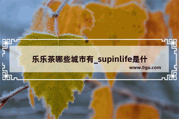 乐乐茶哪些城市有_supinlife是什么品牌