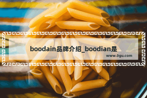 boodain品牌介绍_boodian是什么品牌