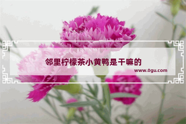 邻里柠檬茶小黄鸭是干嘛的