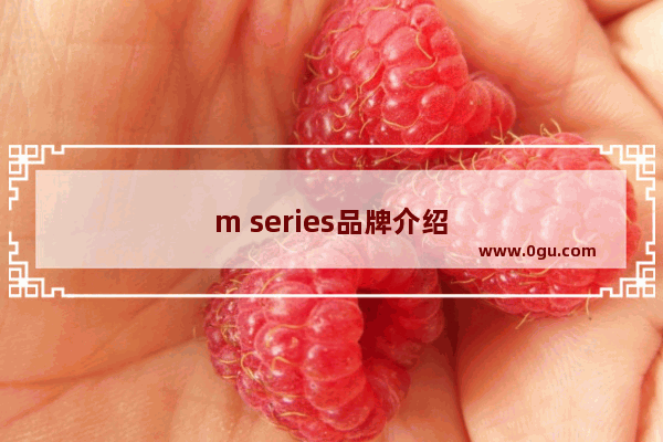 m series品牌介绍