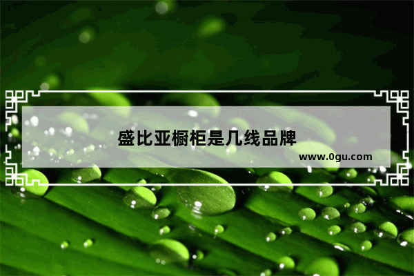 盛比亚橱柜是几线品牌