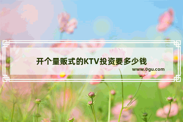 开个量贩式的KTV投资要多少钱