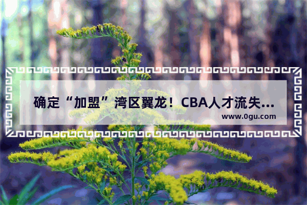 确定“加盟”湾区翼龙！CBA人才流失严重 姚明不该反思一下吗