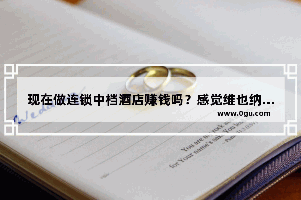 现在做连锁中档酒店赚钱吗？感觉维也纳到处都是 我也想投资酒店业