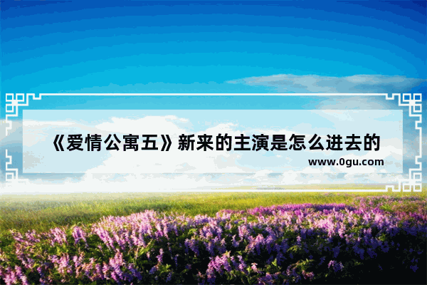 《爱情公寓五》新来的主演是怎么进去的