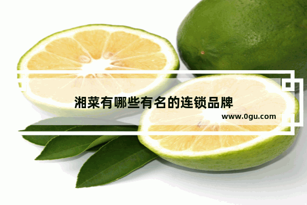 湘菜有哪些有名的连锁品牌