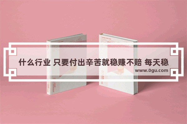 什么行业 只要付出辛苦就稳赚不赔 每天稳定纯利润300就知足