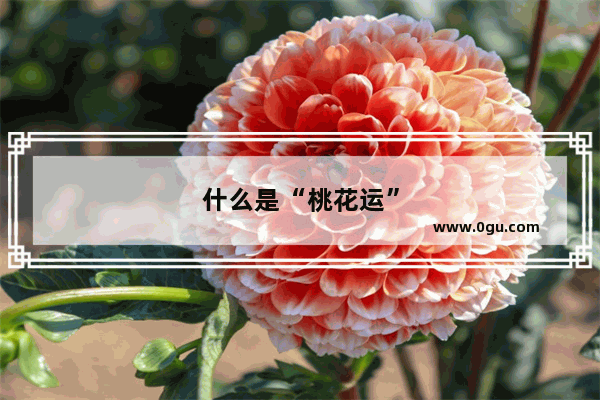 什么是“桃花运”