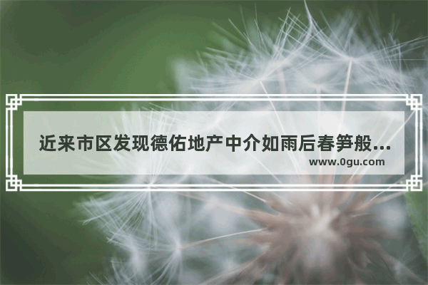 近来市区发现德佑地产中介如雨后春笋般冒出来好多 这么多房产中介 到底说明了什么