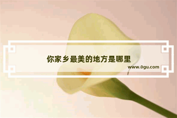 你家乡最美的地方是哪里